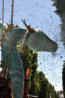 Carnaval Cholet 18 Mai 2014 Photo Bernard F