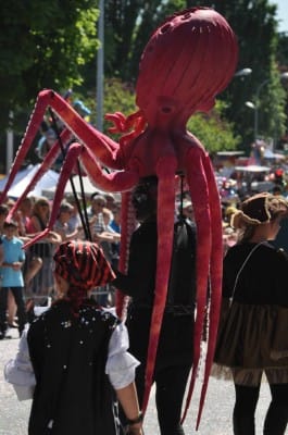 Carnaval Cholet 18 Mai 2014 Photo Bernard F