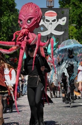 Carnaval Cholet 18 Mai 2014 Photo Bernard F