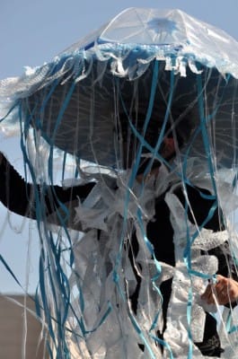 Carnaval Cholet 18 Mai 2014 Photo Bernard F