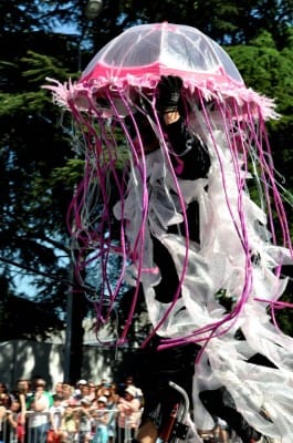 Carnaval Cholet 18 Mai 2014 Photo Bernard F