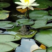 Keynote System&rsquo;D