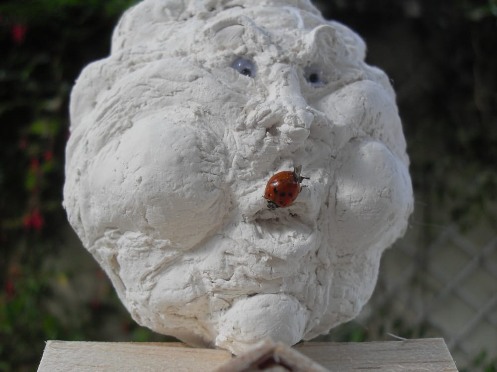 System'D Maquette : Le nuage