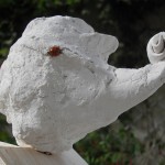 System'D Maquette : Le nuage et la coccinelle