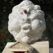 Le nuage et la coccinelle