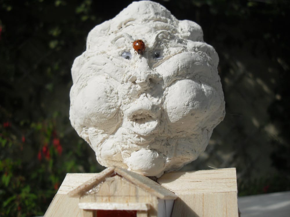 System'D Maquette : Le nuage et la coccinelle