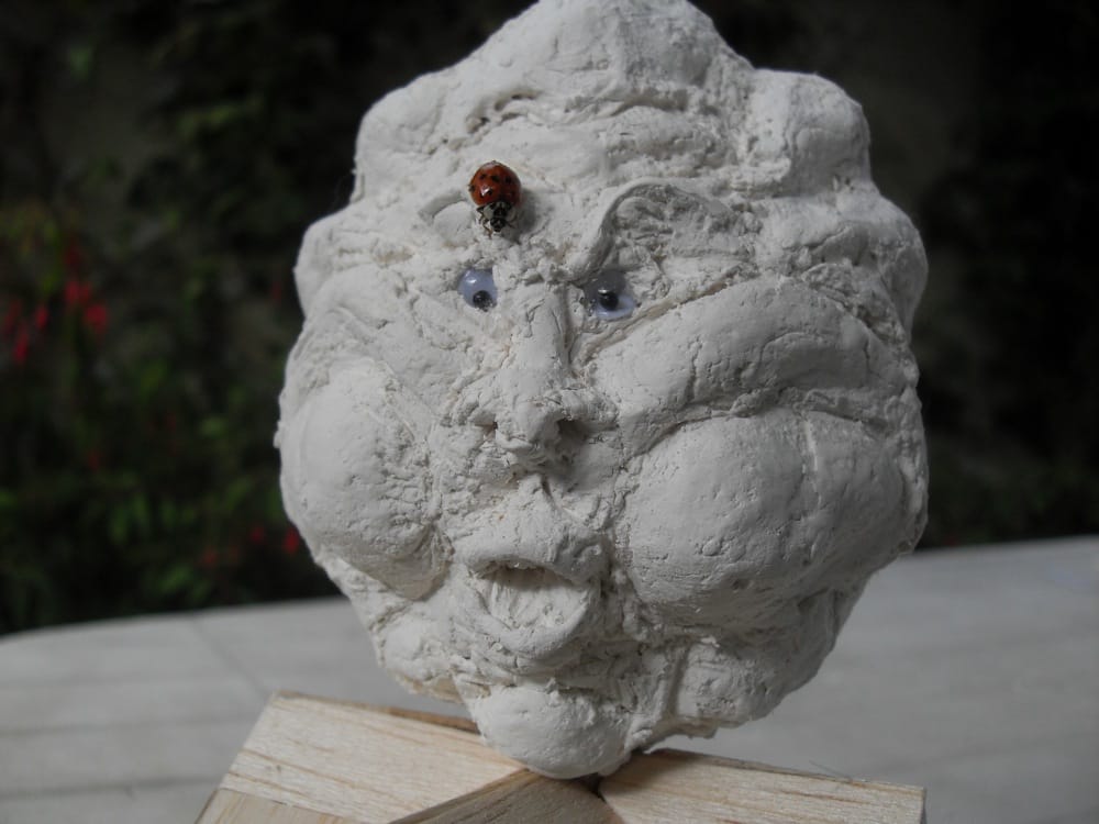System'D Maquette : Le nuage et la coccinelle