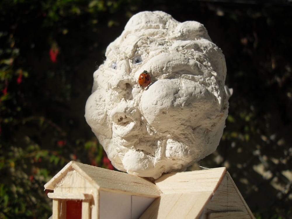 System'D Maquette : Le nuage et la coccinelle
