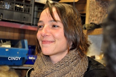 Constructrice System'D Association Carnaval Cholet 2014 2015