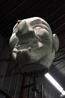 Samantha, sorcière System'D Association Carnaval Cholet 2015