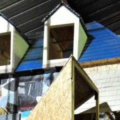 Au gré de l’hiver