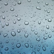 Report du Carnaval de Jour !