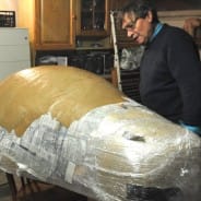 Des Avocats goûteux