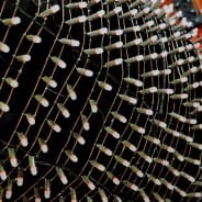 À vos Kits, prêts ? partez !