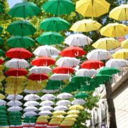 La Grande Parade de Saumur