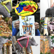 System’D à l’heure de la découverte