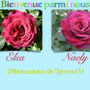 System’D à l’heure des naissances