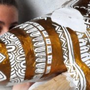 L’éléphant de Cassie (1)