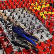 Les loup’piotes…