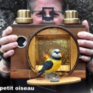 Le petit oiseau va sortir…