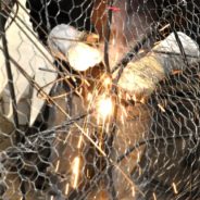 Des arbres et des branches