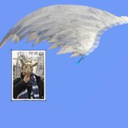 Des ailes et des masques