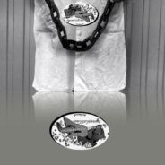 La nuit de la chaîne