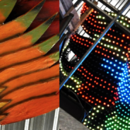 L’oiseau du jour et de la nuit