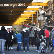 La saison des carnavals