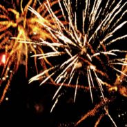 Pleins feux sur le 102e carnaval