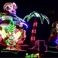 2016 G Carnaval de Nuit