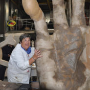 Oh les mains ! System’D novembre 2019