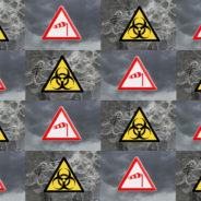 Carnavals dans la tourmente