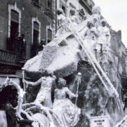 Des souvenirs fleuris