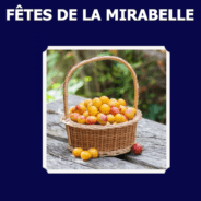 Les Fêtes de la mirabelle