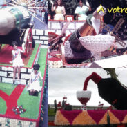 Collection de flacons (2)