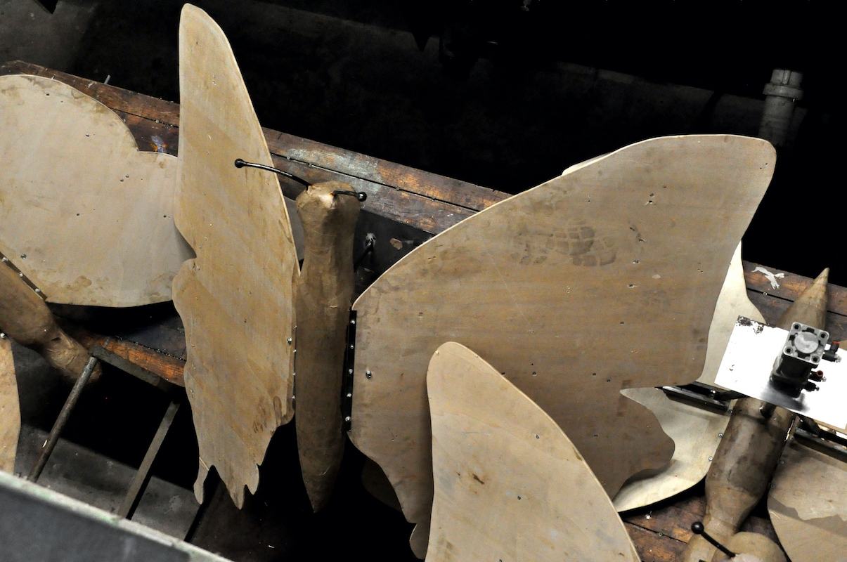 Des larmes et des papillons