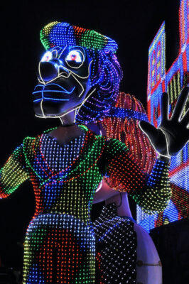 La mise en lumière des chars du premier carnaval illuminé de France.