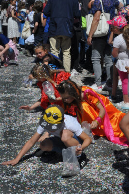 103e carnaval de Cholet - 1er mai 2022 - B - System’D