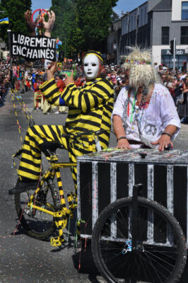 103e carnaval de Cholet - 1er mai 2022 - B - System’D