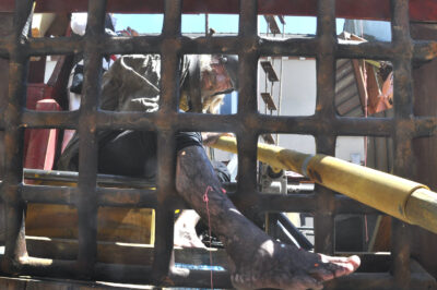 103e carnaval de Cholet - 1er mai 2022 - B - System’D