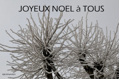 Joyeux Noël miniature 2022 et effets de neige