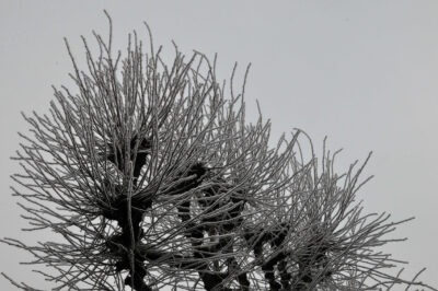 Joyeux Noël miniature 2022 et effets de neige