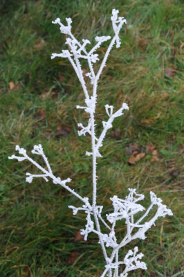 Joyeux Noël miniature 2022 et effets de neige