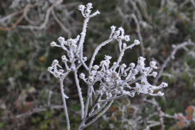 Joyeux Noël miniature 2022 et effets de neige