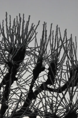 Joyeux Noël miniature 2022 et effets de neige