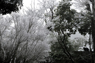 Joyeux Noël miniature 2022 et effets de neige