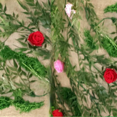 Les incantations printanières de System’D