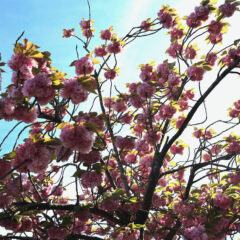 105e Carnaval de Cholet 14 avril – Au départ