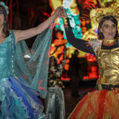 105e Carnaval de Cholet – 20 avril – System’D en lumière